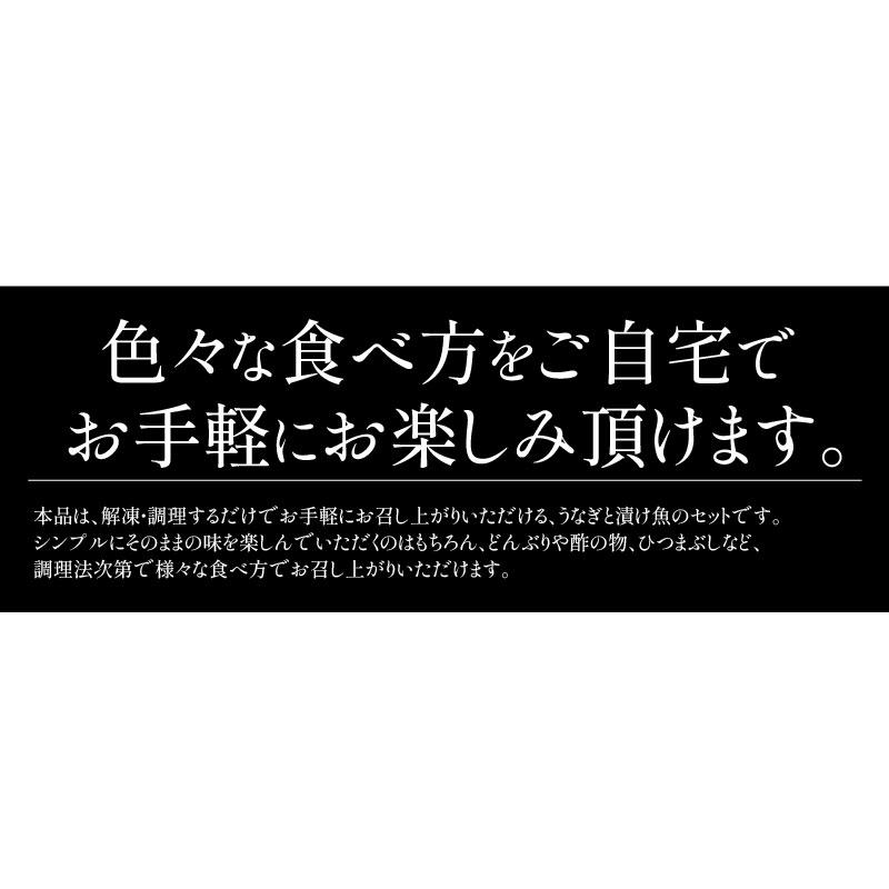 うなぎ 銀鱈 セット ウナギ142g前後×1尾 銀だら80g×3切 蒲焼き 国産うなぎ 冷凍うなぎ 冷凍 うなぎ蒲焼 カット  銀だら 西京漬け 粕漬け みりん漬け｜kaisenichibashioso｜07