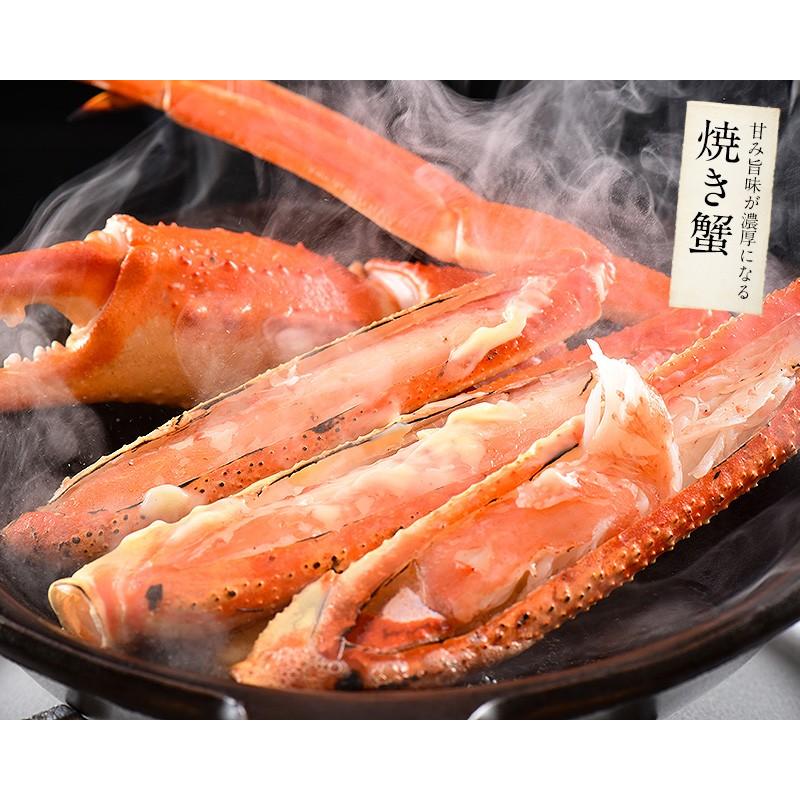 かに カニ 蟹 ズワイガニ 姿 3kg 600g前後×5尾 ずわいがに ズワイ蟹 ずわい蟹 同梱不可   ギフト 父の日｜kaisenichibashioso｜10