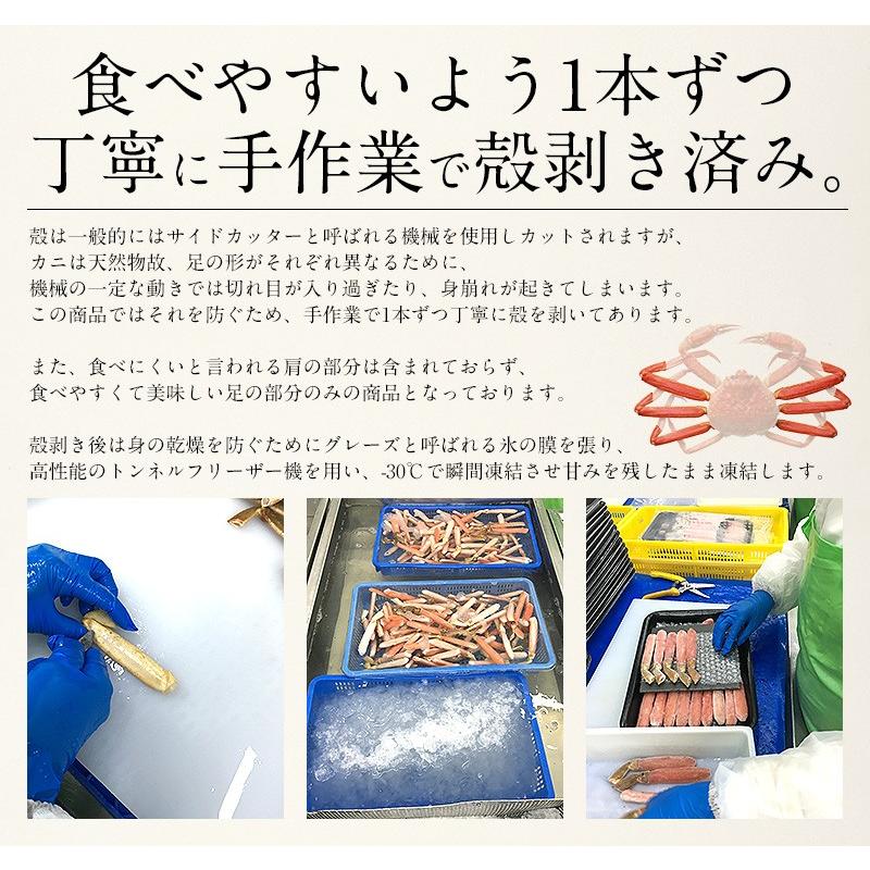 かに カニ 蟹 ズワイガニ ポーション 500g 生食可  刺身 しゃぶしゃぶ ずわいがに ギフト 贈り物 プレゼント 母の日 ギフト 父の日｜kaisenichibashioso｜06