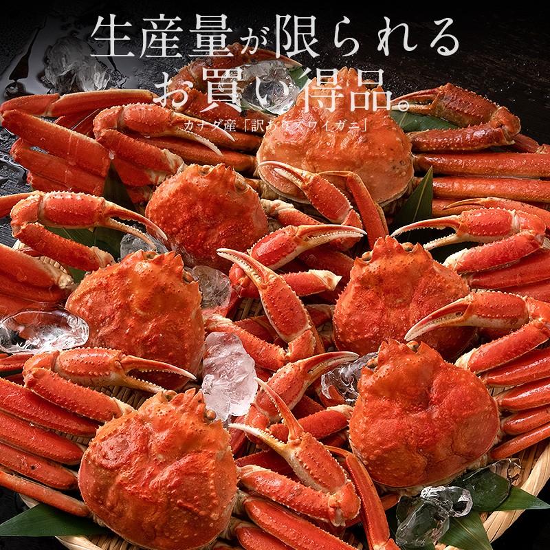かに カニ 蟹 ズワイガニ 訳あり 姿 3kg （6〜9尾入り） カナダ産 ボイル ずわいがに ズワイ蟹 ずわい蟹 同梱不可 お歳暮 年末年始 | しおそう | 01
