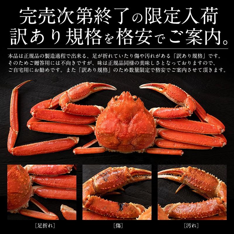 しおそう かに カニ 蟹 ズワイガニ 訳あり 姿 3kg （6〜9尾入り