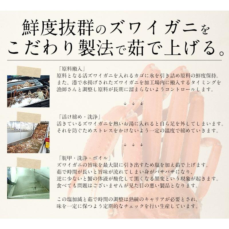 かに カニ 蟹 ズワイガニ 足 1kg（約6肩入り） ずわいがに ずわい蟹 ズワイ蟹 | しおそう | 03