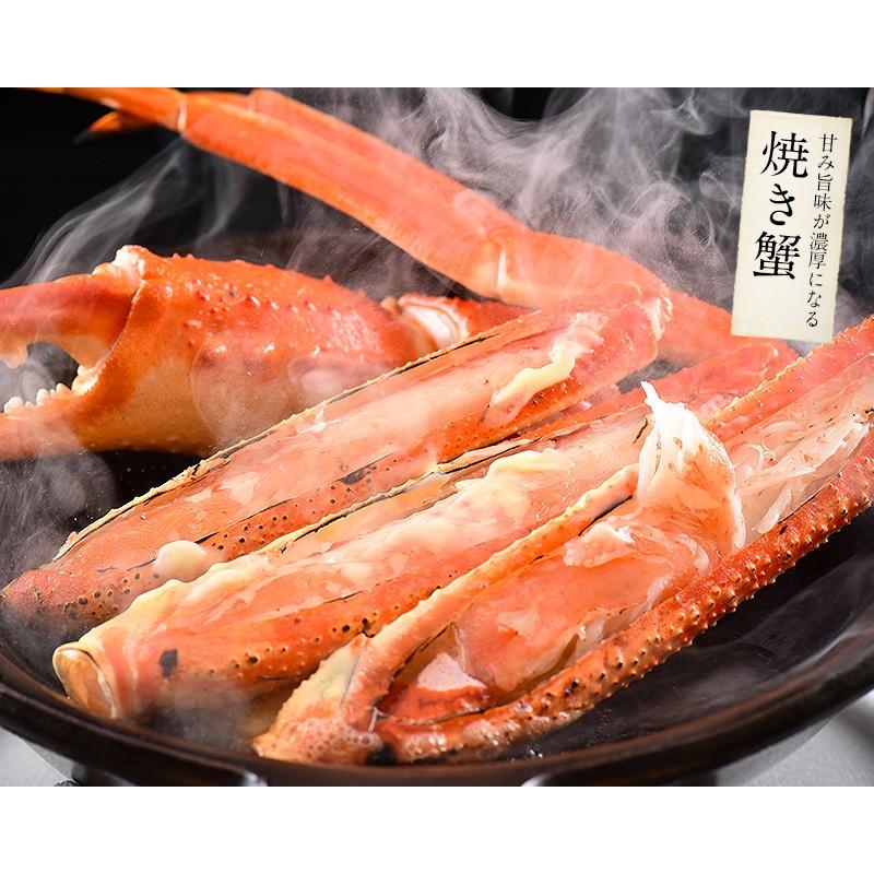 かに カニ 蟹 ズワイガニ 足 3kg（約10〜14肩入り）ズワイ蟹 ずわいがに ずわい蟹 同梱不可 母の日 ギフト 父の日｜kaisenichibashioso｜09