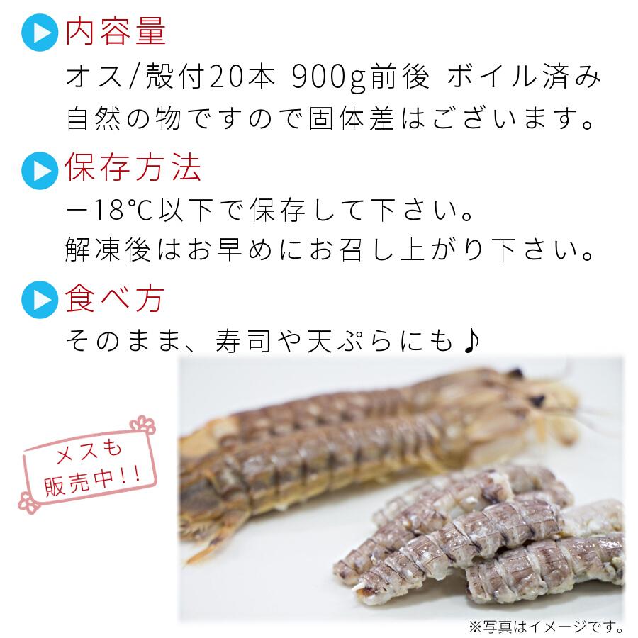 シャコ オス 小樽産 殻付 本 秋物 秋シャコ 蝦蛄 しゃこ クール便 無添加 海鮮 お取り寄せ ブランドのギフト 送料別 海産物 北海道 国産