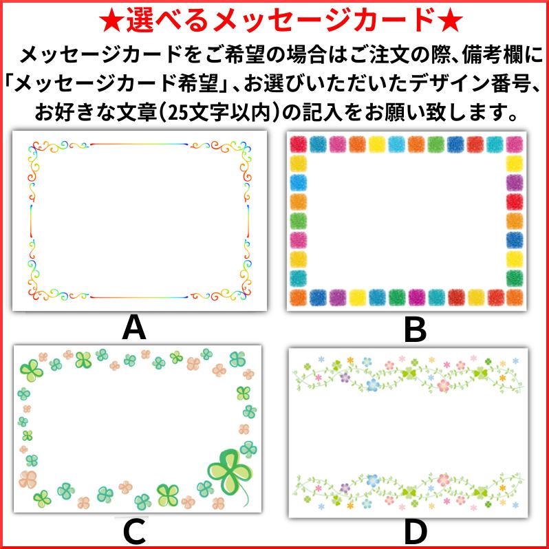 丸干しいか 70g ゴロ付き 国産 無添加  送料無料 いかすみ いか するめ 日本酒 おつまみ お取り寄せグルメ メール便｜kaisenotaru-shop｜10