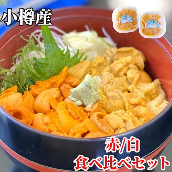 日付指定不可 小樽産 塩水うに 赤 白 2種セット 100g 2個セット