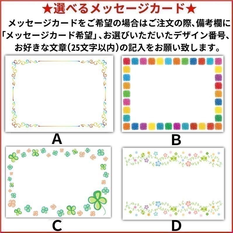 するめジャーキー 炙りいかジャーキー 500g お徳用 お得 業務用 送料無料 するめ 乾燥 家飲み 酒の肴 おつまみ あたりめ  駄菓子 珍味 干物 ダイエット メール便｜kaisenotaru-shop｜09