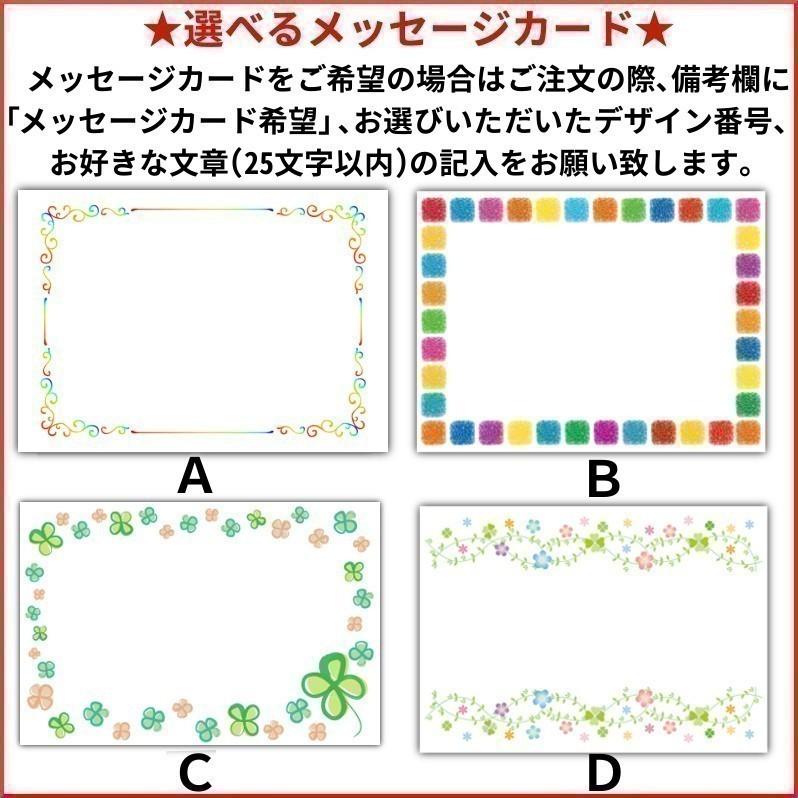 焼いかチーズ 70g 送料無料 1000円ポッキリ お試し 個包装 珍味 イカ 烏賊 ナチュラルチーズ おやつ 酒の肴 つまみ  海鮮 お取り寄せ メール便｜kaisenotaru-shop｜15