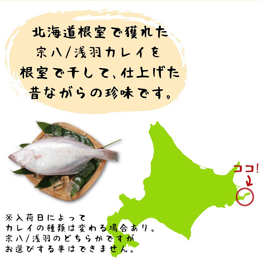 北海道 根室産 干し 浅羽ガレイ 40g 鰈 カレイ 魚 少量 珍味 干かれい むしりかれい 北海道産 お試し 乾燥 海鮮 酒の肴 おつまみ ポイント消化 メール便 Karei1 海鮮小樽webショップ 通販 Yahoo ショッピング