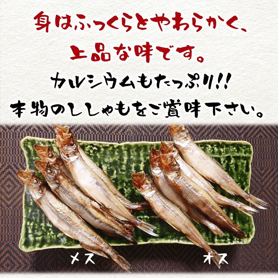 マラソン限定！ポイント5倍 ししゃも 北海道産 柳葉魚 希少な本物 天然 本 シシャモ メス 30尾 