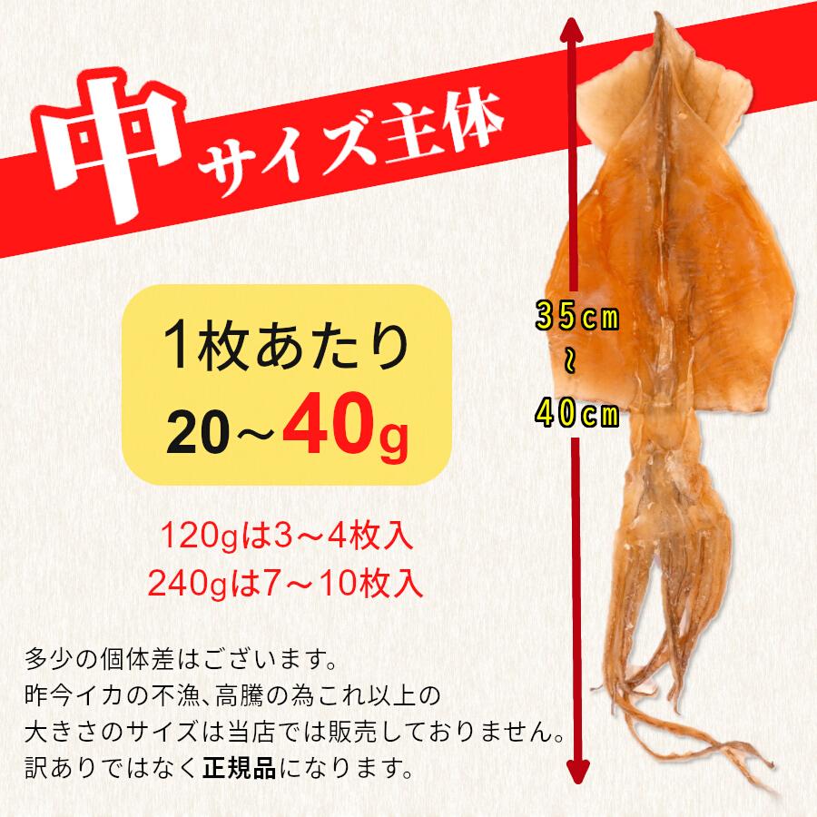 するめ 国産 無添加 北海道産 函館 ゲソ付き 240g 中サイズ 7〜10枚 スルメイカ ダイエット 干物 おつまみ 珍味 メール便｜kaisenotaru-shop｜04