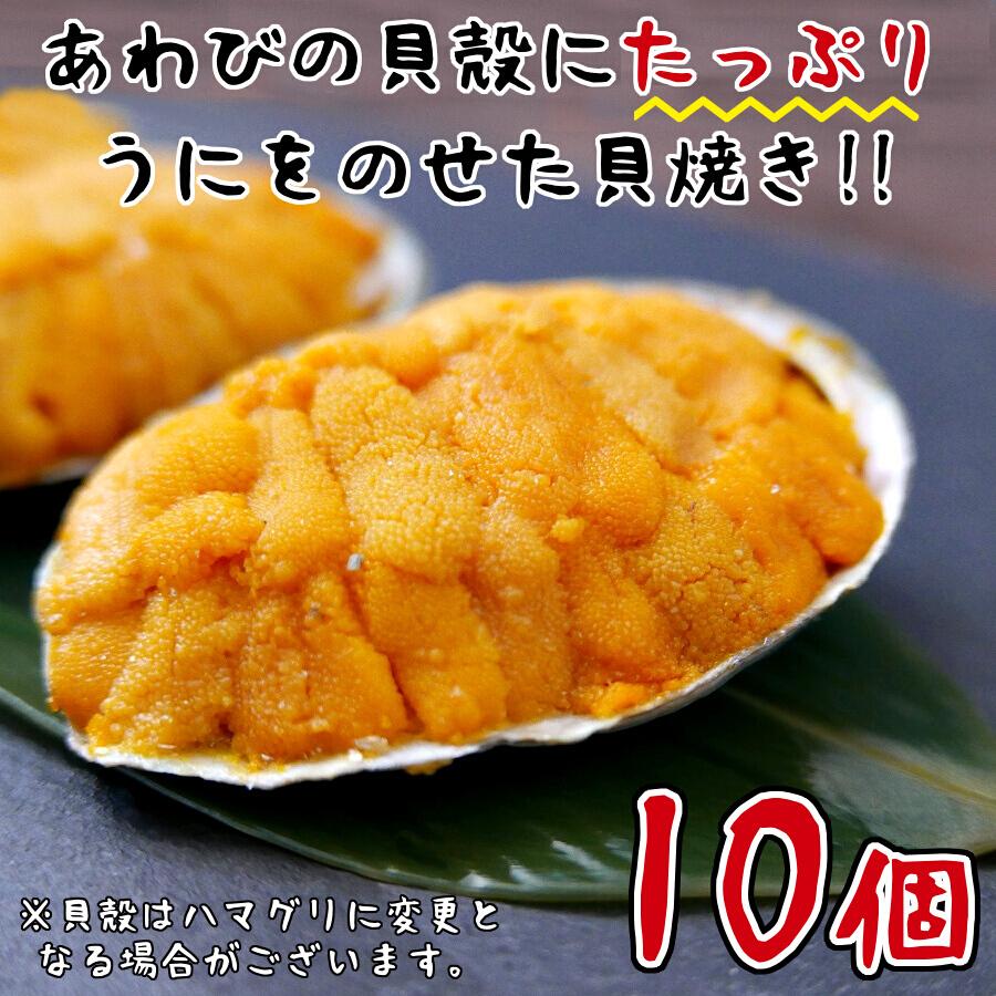 うに 貝焼き 10個入 送料無料 むしうに 貝盛り 雲丹 焼きうに ウニ 鮑貝殻 海産物 q お取り寄せ 海鮮 貰って嬉しい 贈答 贈物 ギフト クール便 Uni Kai10 海鮮小樽webショップ 通販 Yahoo ショッピング