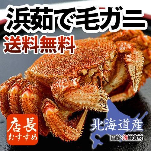 ボイル毛蟹400〜450g 中2尾 北海道産 送料込み 北海道産