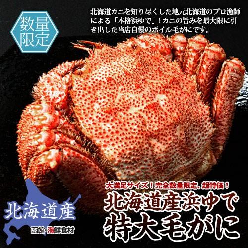 北海道産ボイル毛がに 400g / 北海道 かに 浜ゆで 正規品 数量限定