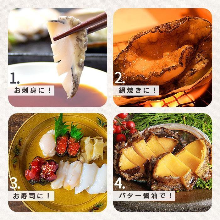 活 蝦夷 あわび 20/30 1kg (約 40 枚) アワビ 鮑 BBQ キャンプ お徳用 高級 美味しい 送料無料 |  | 03