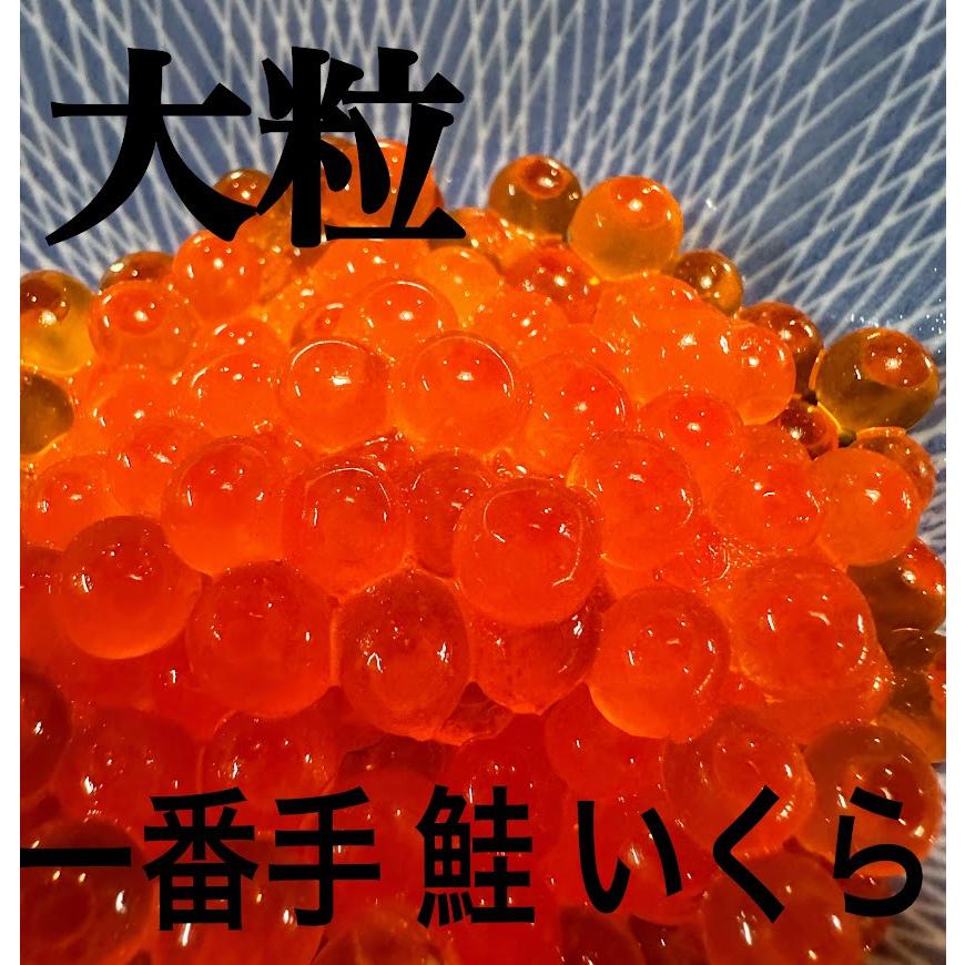 新物 最高 品質 チャム 超大粒 極上 逸品  一番手 秋鮭卵 いくら 1kg  イクラ  正油漬け  送料無料 | 