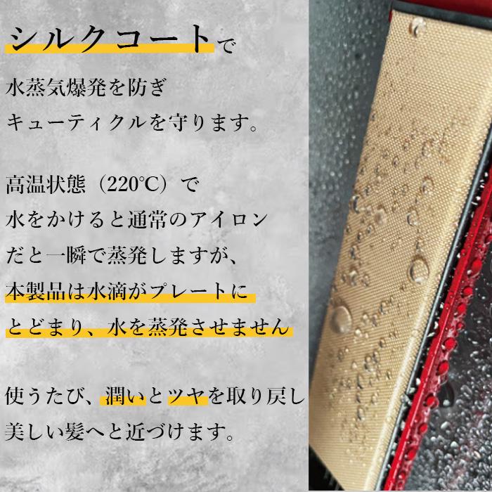 大阪ブラシ P-UP エクステラ ケミストリー テラヘルツ×シルク 大阪ブラシ P-UP エクステラ ケミストリー テラヘルツ×シルク