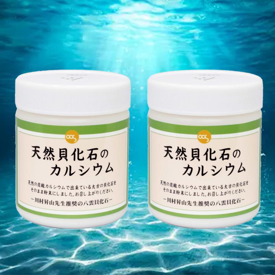 天然貝化石のカルシウム 2個 太古のカルシウムPLUS ソマチット粉末 