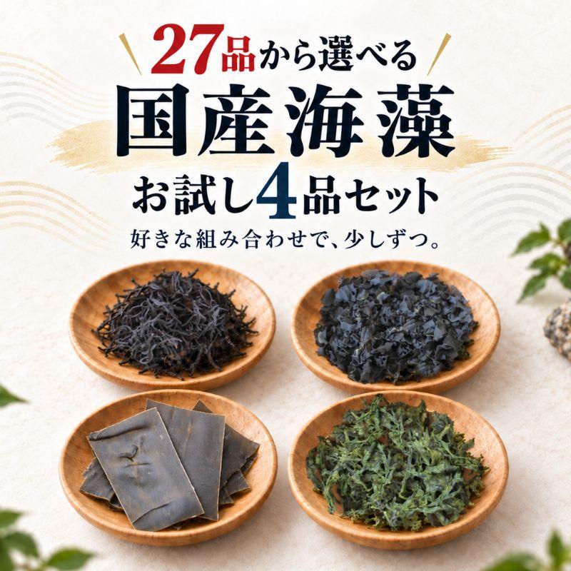 27品から選べる／国産海藻お試し4品セット (追跡可能メール便) ひじき