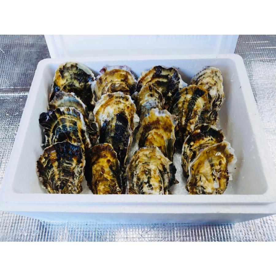 長面産殻付牡蠣 2キロ 長面 石巻 まんま まりーの Ishinomaki Manma02 みやぎ水産の日アンテナショップ 通販 Yahoo ショッピング