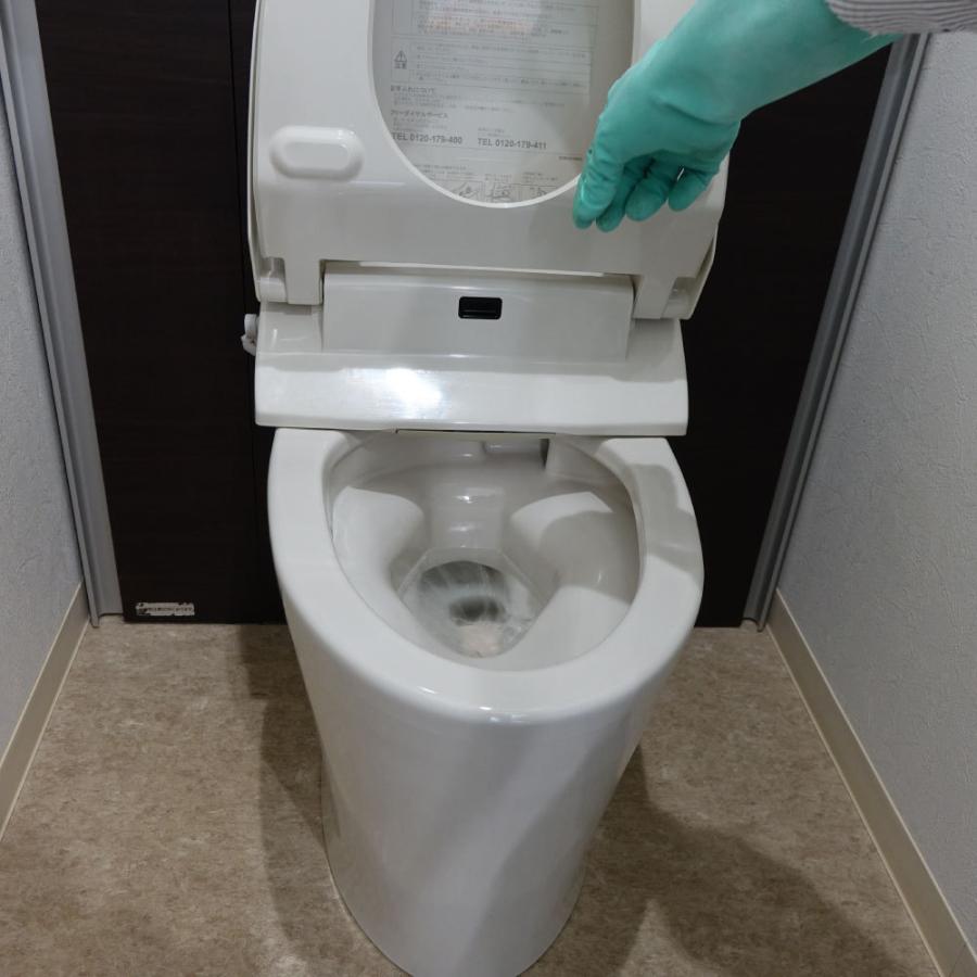 浄化槽用 高性能脱臭剤 浄化槽の消臭快 20g×20P ×24袋 水溶性フィルム入 悪臭防止 発生防止用 消臭剤の画像