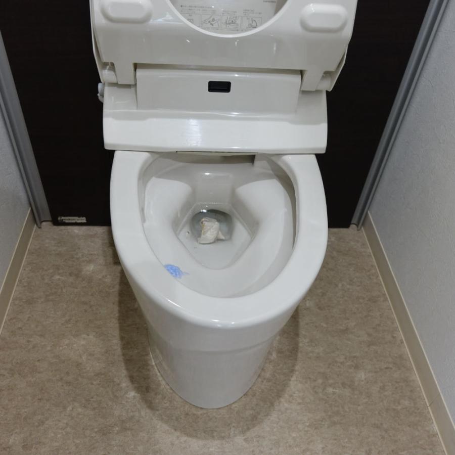 浄化槽用 高性能脱臭剤 浄化槽の消臭快 20g×20P ×24袋 水溶性フィルム入 悪臭防止 発生防止用 消臭剤の画像
