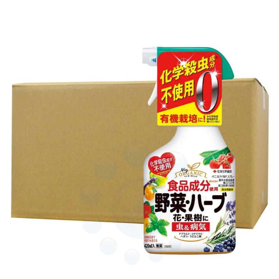 新品未開封品 瀬戸口廉也 書き下ろし小説 MUSICUS 花井是清の最期