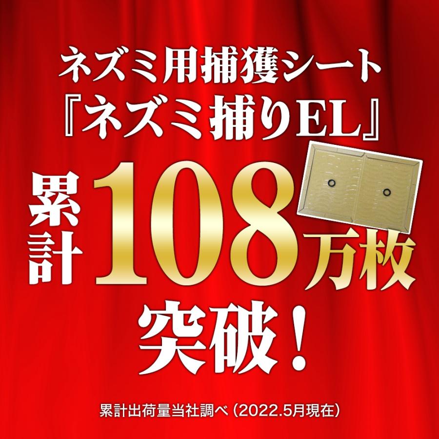 粘着シート 業務用 ネズミ捕り EL 100枚 ネズミ駆除 効果抜群 ねずみ駆除 耐水 ねずみ捕り ネズミ対策 粘着板｜kaiteki-club｜03