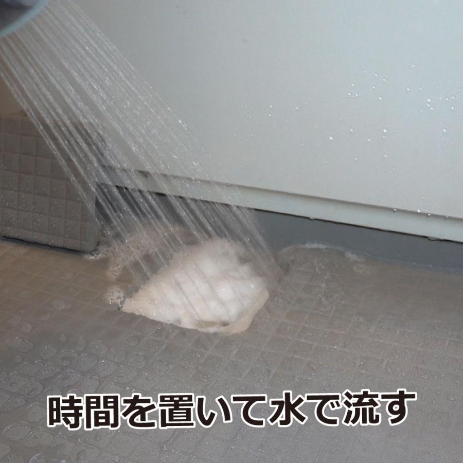 コバエ退治 チョウバエ駆除 業務用コバエ用ムース 400ml増量タイプ&times;2本セット コバエ駆除