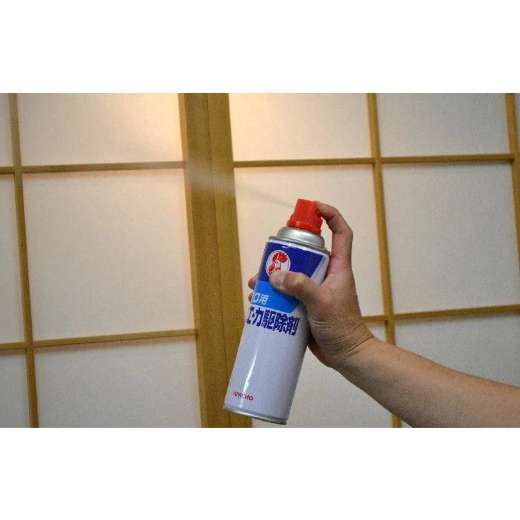 ハエ カ駆除剤 キンチョールD2 480ml ×3本 (防除用医薬部外品) プロ用 ゴキブリ ノミ トコジラミ ナンキンムシ 駆除｜kaiteki-club｜02