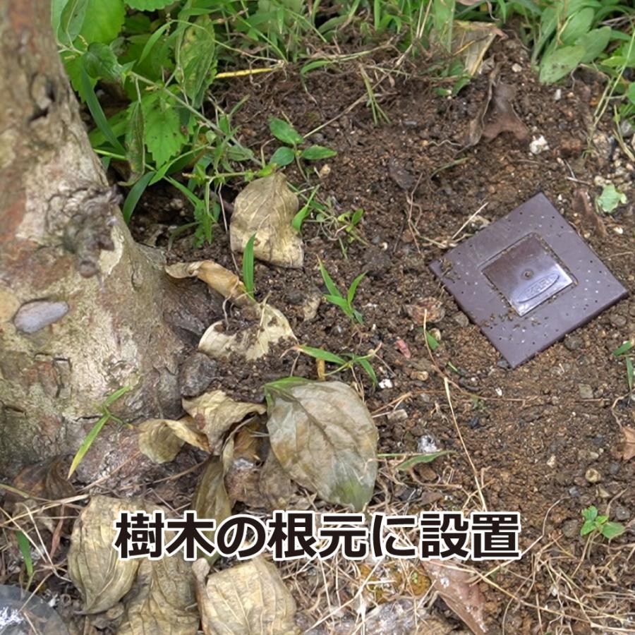 シロアリ 駆除剤 シロアリハンター 15個入×3箱 ヤマトシロアリ イエシロアリ 予防 駆除 簡単 設置 巣ごと 壊滅 しろあり 駆除_6