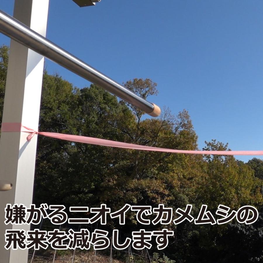 カメムシ対策 カメムシいやよー 忌避テープ 30mm 10m 3個 カメムシ忌避剤 かめむを洗濯物などに寄せつけない 快適クラブ ｎｅｔ 通販 Yahoo ショッピング