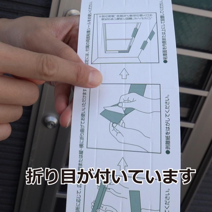 カメムシ ムカデ侵入防止 ムカデ カメムシ粘着シート 50枚 カメムシ対策 ムカデ対策_2