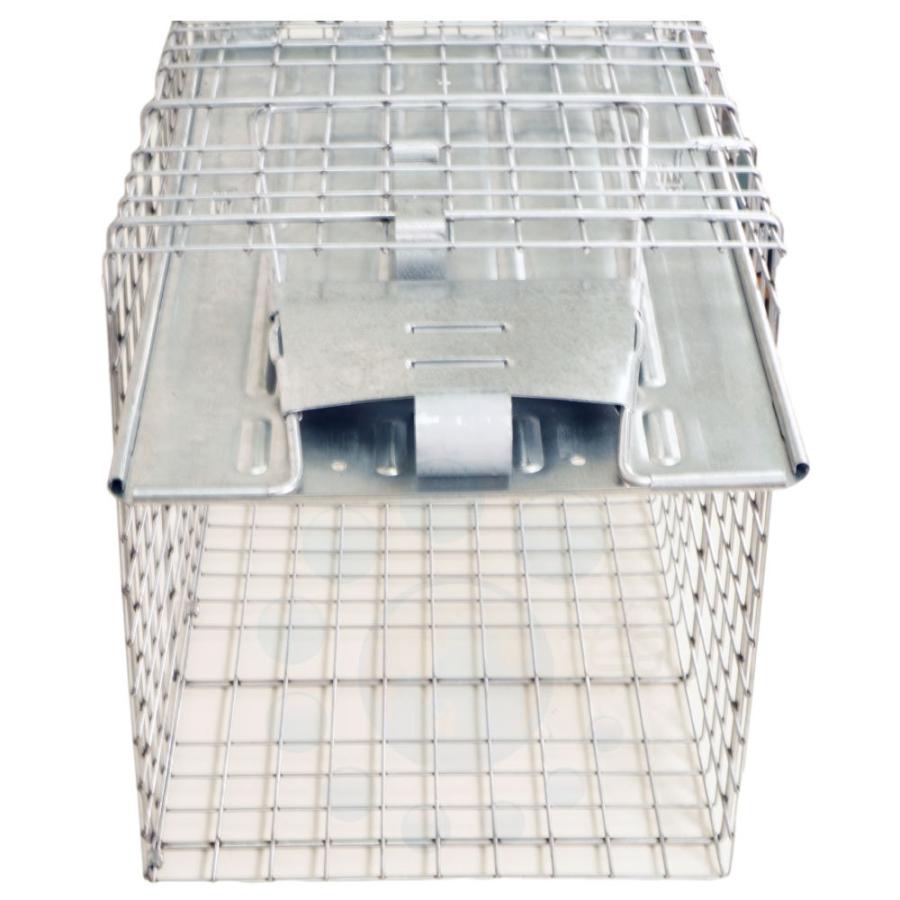 動物捕獲器 アニマルトラップ MODEL1079 ファームエイジ 片開き 踏板式