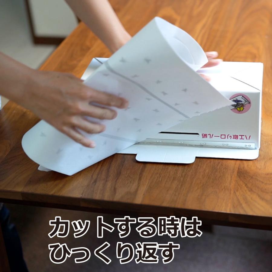 住化エンバイロメンタルサイエンス ハエ取り 粘着 トラップ ピタット