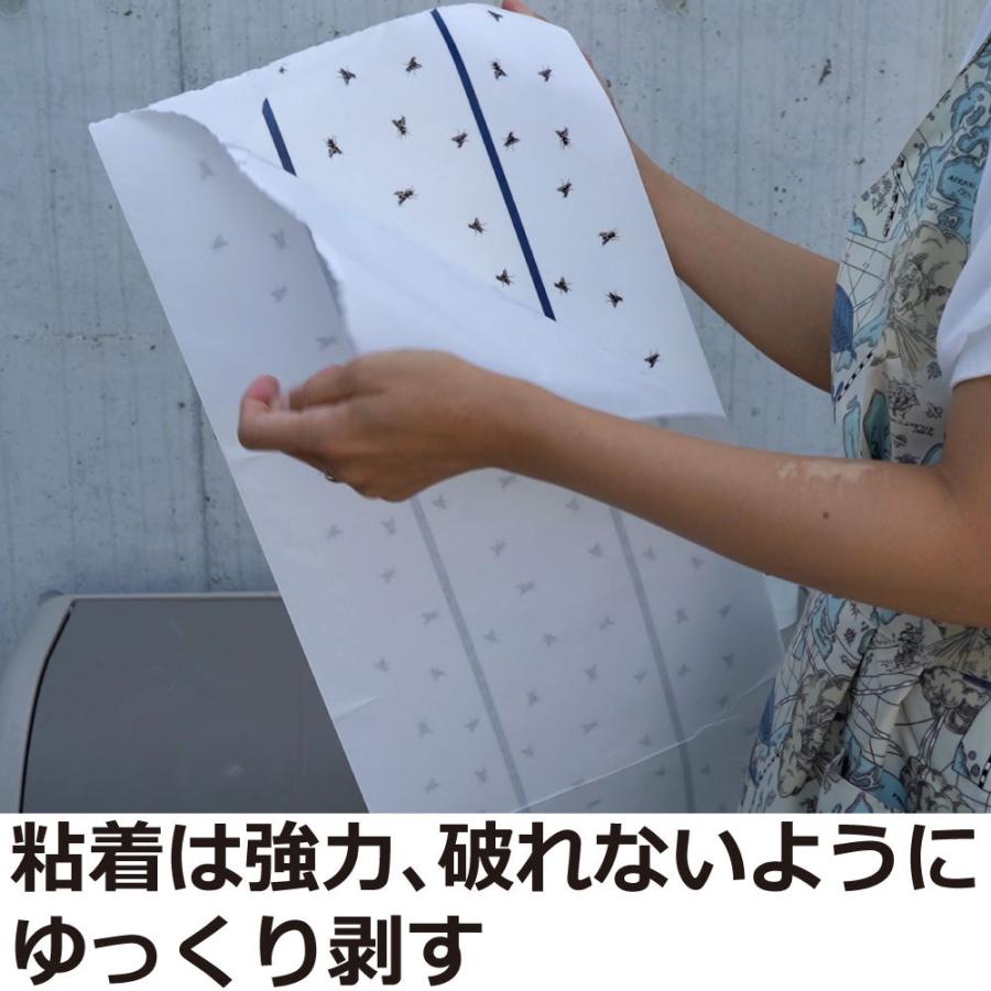 住化エンバイロメンタルサイエンス ハエ取り 粘着 トラップ ピタット