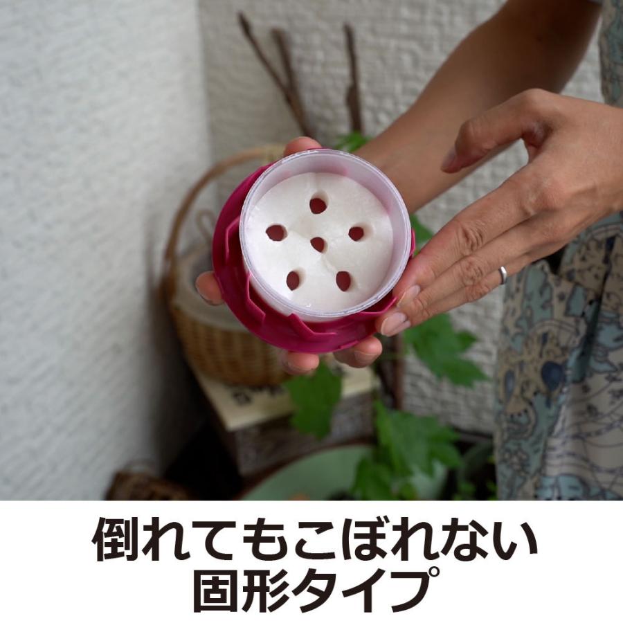市場 アース製薬 ムカデよけ撃滅 アースガーデン