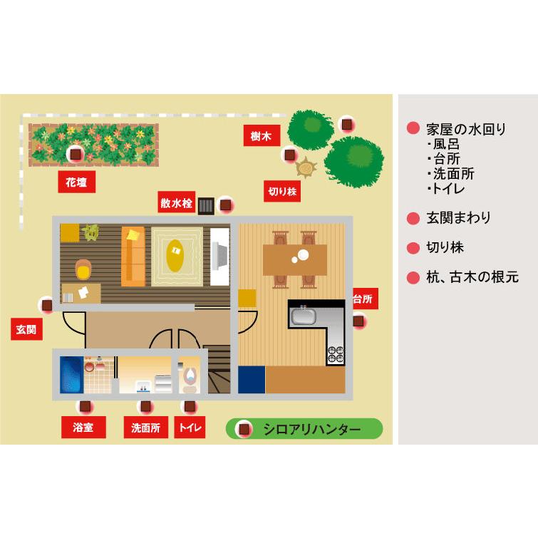 イカリ消毒 シロアリ駆除剤 シロアリハンター 6個入 自分で イカリ消毒 シロアリ駆除剤 シロアリハンター 6個入 自分で