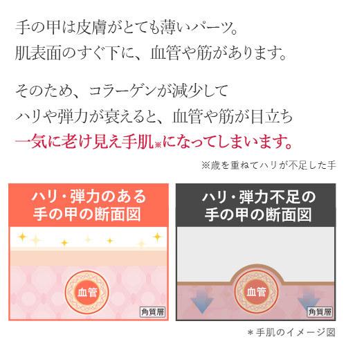 ハンドピュレナ 正規販売店 老け手 ハンドクリーム 血管 エイジングケア 年齢に応じたお手入れ ハリが不足して血管が目立つ手肌に Hp 北の快適工房 通販 Yahoo ショッピング