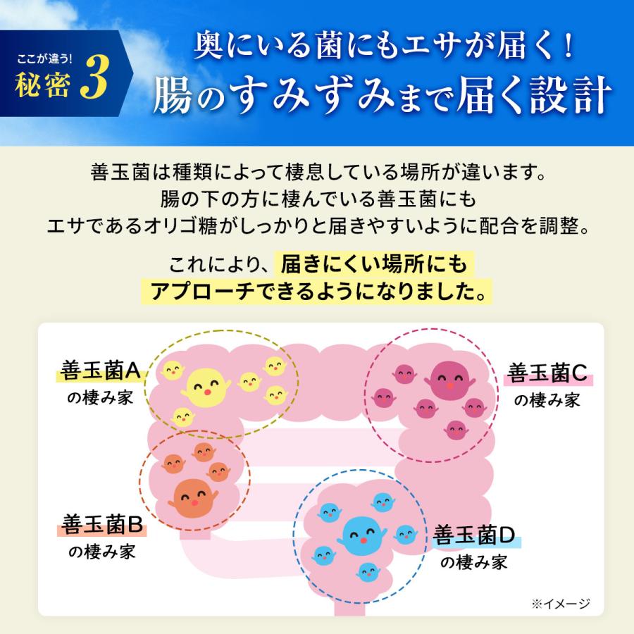 北の快適工房 オリゴ糖 カイテキオリゴ 腸活 で便秘 傾向者の便通を