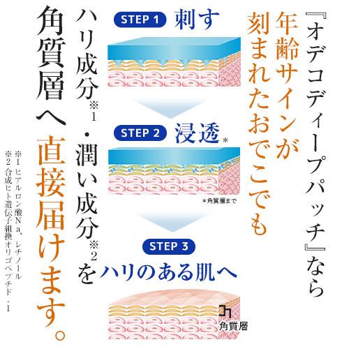 北の快適工房 オデコディープパッチ 正規販売店 刺す ヒアルロン 北の快適工房 オデコディープパッチ 正規販売店 刺す ヒアルロン