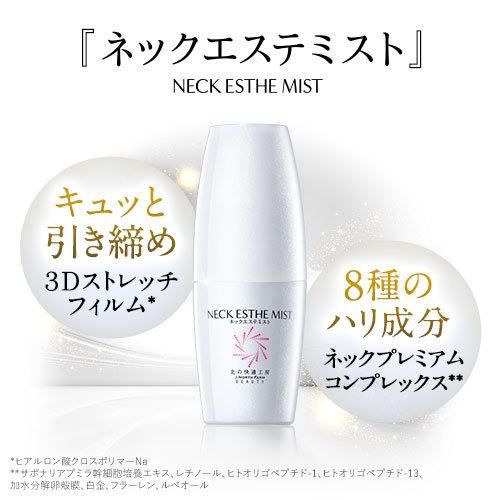 期間限定お試し価格 ネックエステミスト 3個セット 1日10秒の簡単 徹底ネックケア 正規販売店13 571円 Aynaelda Com