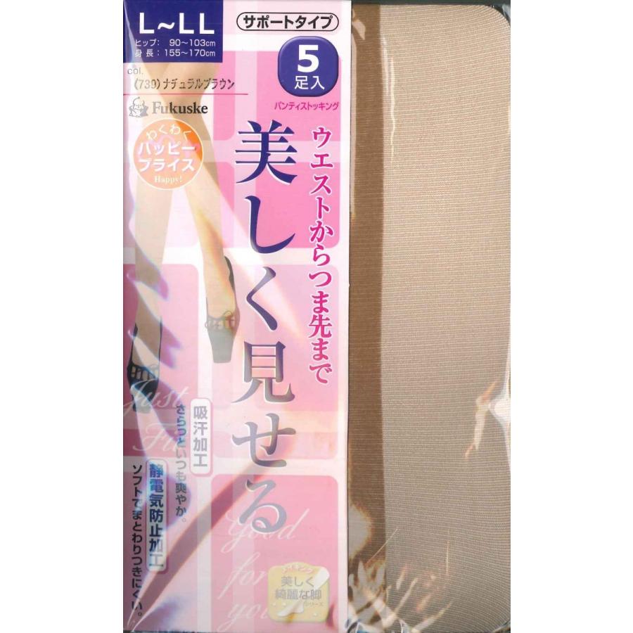 スラパン　ストッキング Fukuske（フクスケ） パンスト TSY9806 L〜LL ナチュラルブラウン 5枚