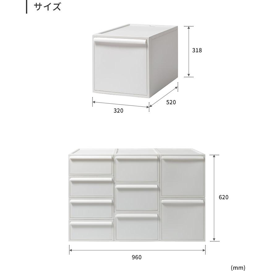 衣装ケース クローゼットシステム L 2個セット 押入れ収納 衣類収納