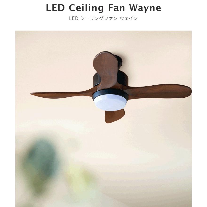 LEDシーリングファンライト 薄型 明るい ファン付き照明 リモコン付き