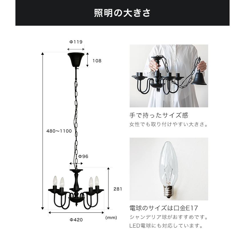 5灯シャンデリア「BUTLER（バトラー）」黒アイアン 照明 LED 対応 5灯 シャンデリア バトラー ライト LED電球 インテリア