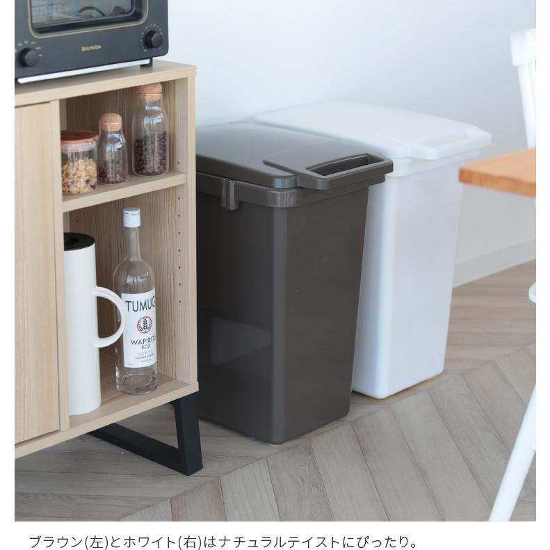 ゴミ箱 おしゃれ 45リットル キッチン 分別 リビング ごみ箱 ふた付き
