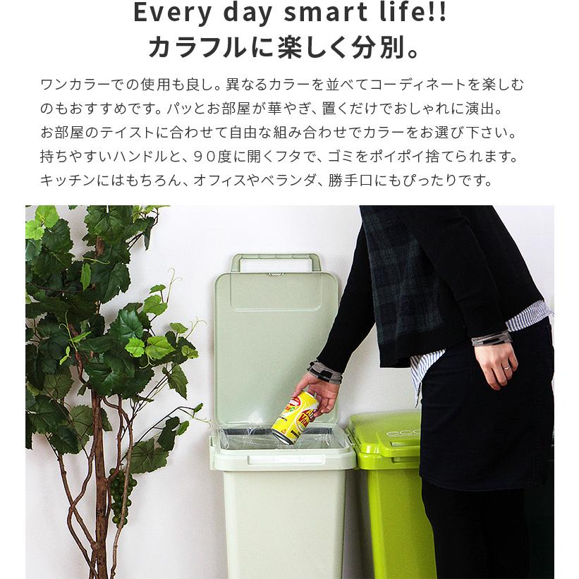 ゴミ箱 おしゃれ 45リットル キッチン 分別 リビング ごみ箱 ふた付き