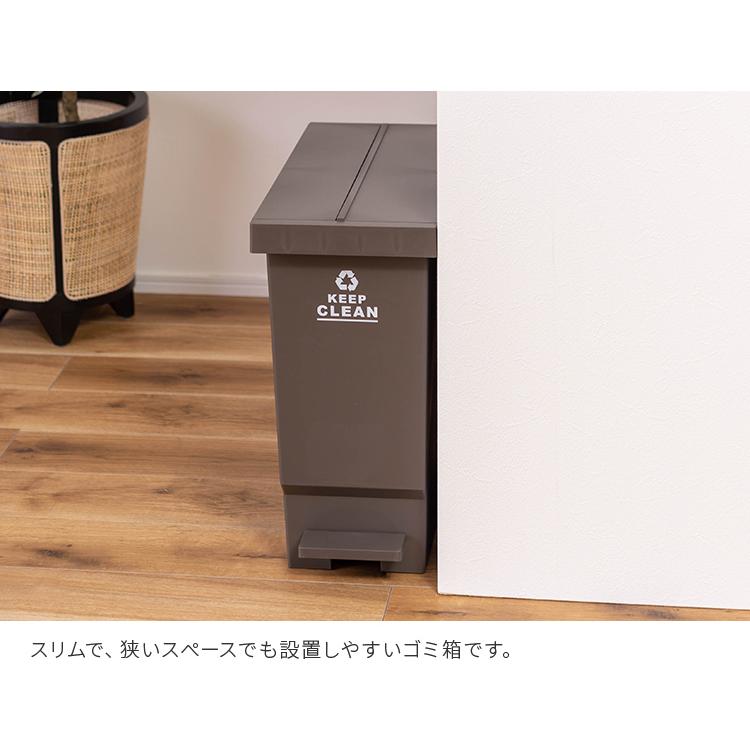 バタフライペダルペール 32L ゴミ箱 ダストボックス フタ付き 観音開き