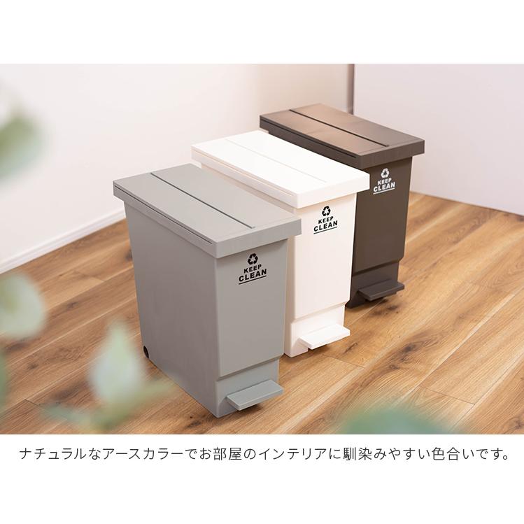 バタフライペダルペール 32L ゴミ箱 ダストボックス フタ付き 観音開き